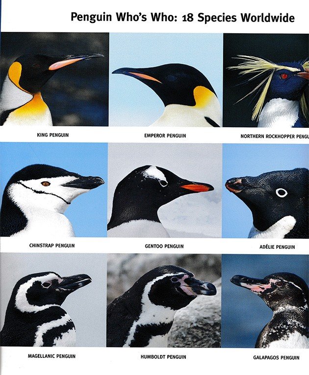 penguin whoswho.1