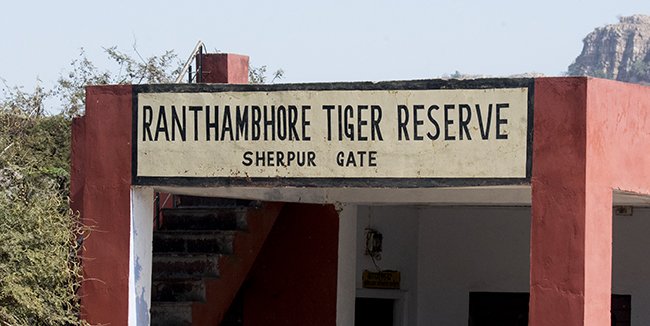 ranthamboresign