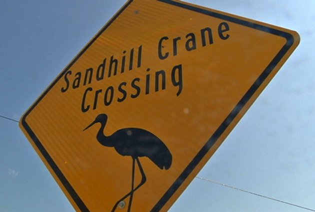 Sandhill Crane Crossing Sign