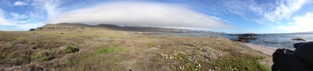 Santa Cruz Island