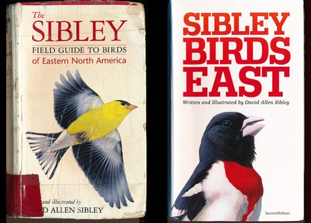 The Sibley Field Guide to Birds of Eastern North America: Second