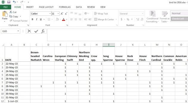 excel, data, science, birds