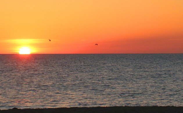 sunrise at Cape Henlopen day 1