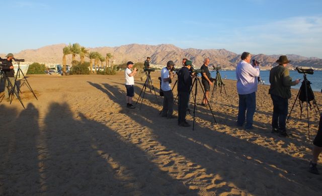 teams eilat north beach