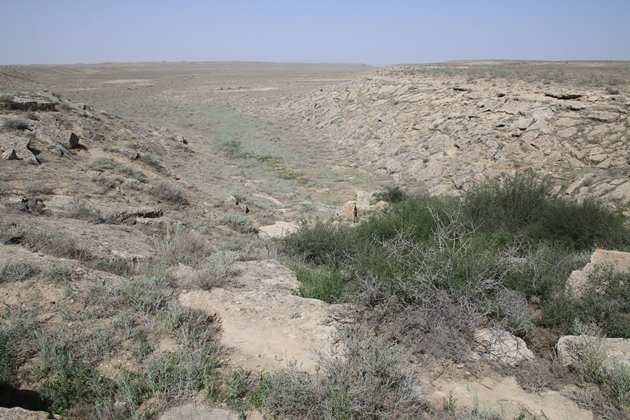 tolai landscape