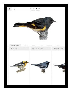 redstart warbler app