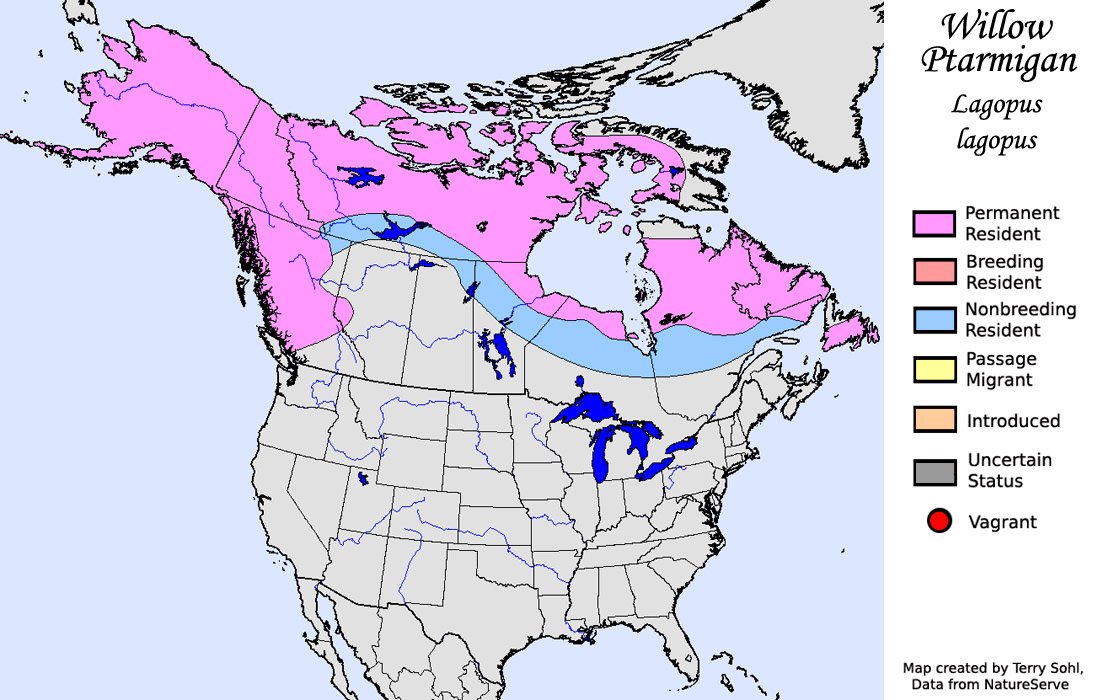 Willow Ptarmigan Range Map