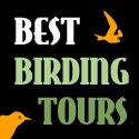 Best Birding Tours - World birders, meet the world's birds...