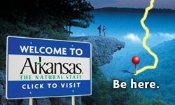 Enjoy birding in Arkansas!