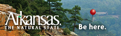 Arkansas Birding... Be Here Now!