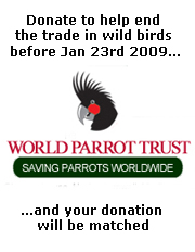 Donate to help end the wild bird trade!