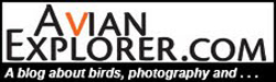Birds, photography, and the environment!