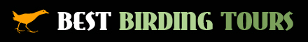Best Birding Tours