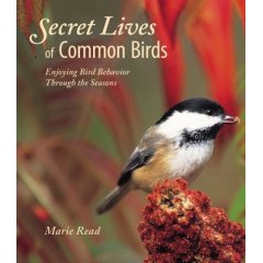 The Secret Lives of Common Birds