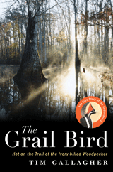 The Grail Bird