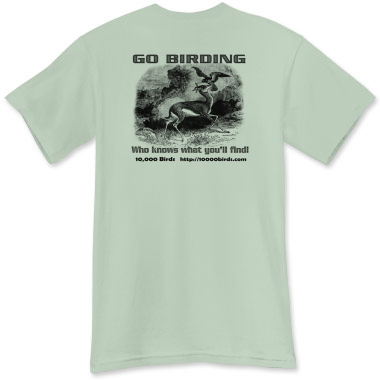 Goshawk shirt - back