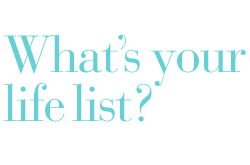 Learn about Life List by Olivia Gentile