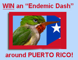 WIN A BIRDING TOUR OF PUERTO RICO!