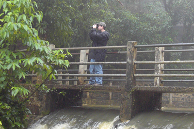 Mike at El Yunque