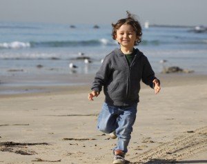 Exploring the Shore and Shorebirds at Crystal Cove State Park - 10,000 ...