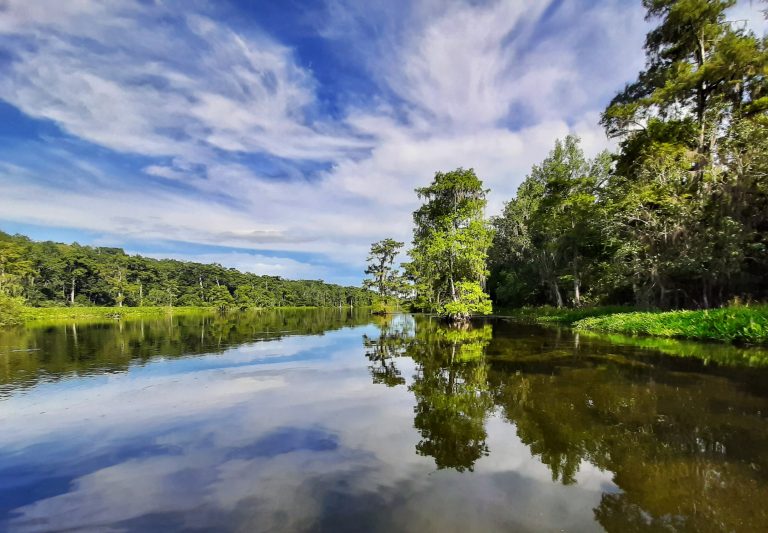 New Haunts: Wakulla Springs State Park | LaptrinhX / News