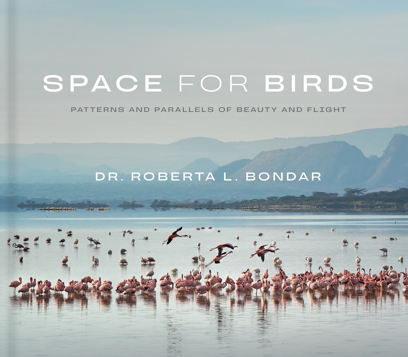 Visitor Submit by means of Dr. Roberta L. Bondar, Creator of “House for Birds”