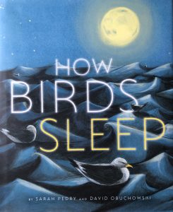 Cover of picture book HOW BIRDS SLEEP by Sarah Pedry and DavidObuchowski