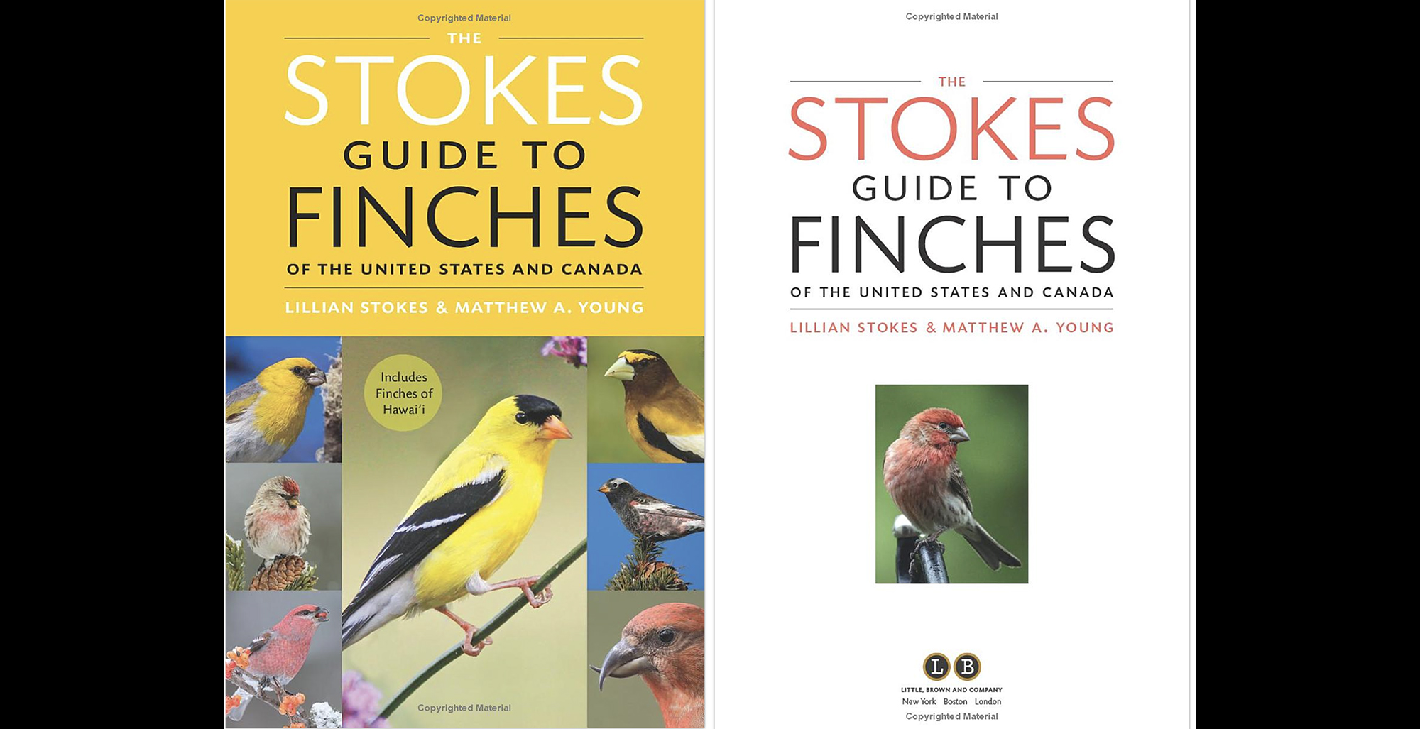 Stokes Information to Finches of america and Canada: A Guide Evaluation