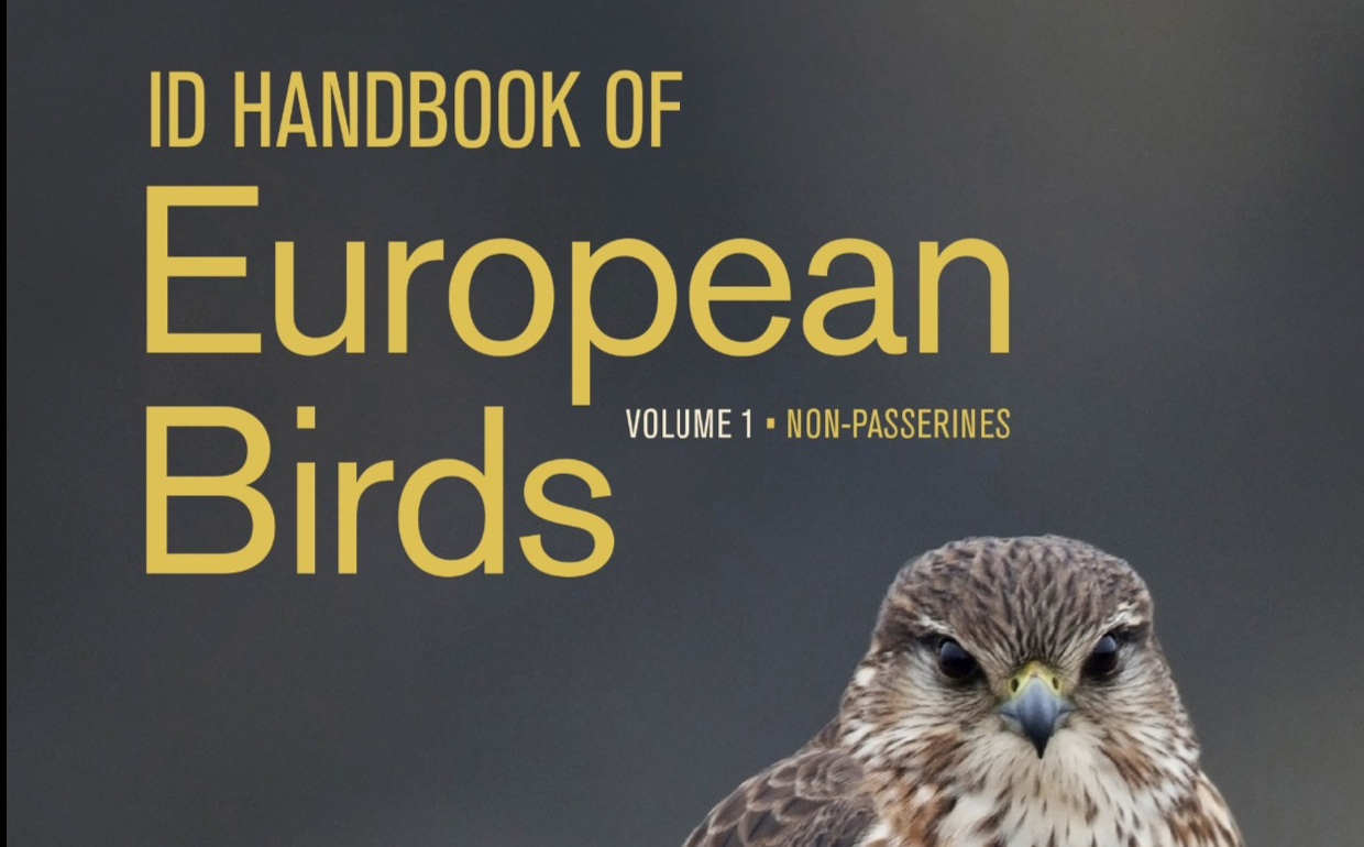 Stunning Oranje: The ID Manual of Eu Birds by means of Nils van Duivendijk