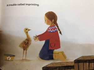 THE CRANE AND THE KEEPER: A KidLit Hen Ebook Evaluate