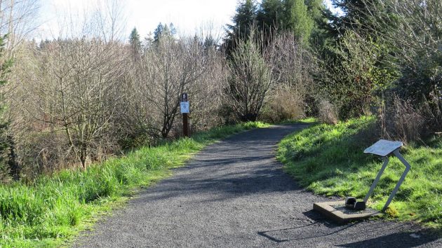 Beginning of trail showing compacted crushed stone surface and gentle downward slope with trees and shrubs along the trail.