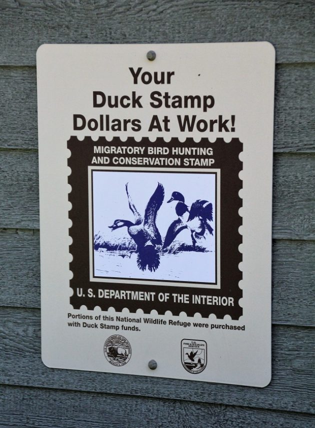 Your Duck Stamp Dollars at Work!