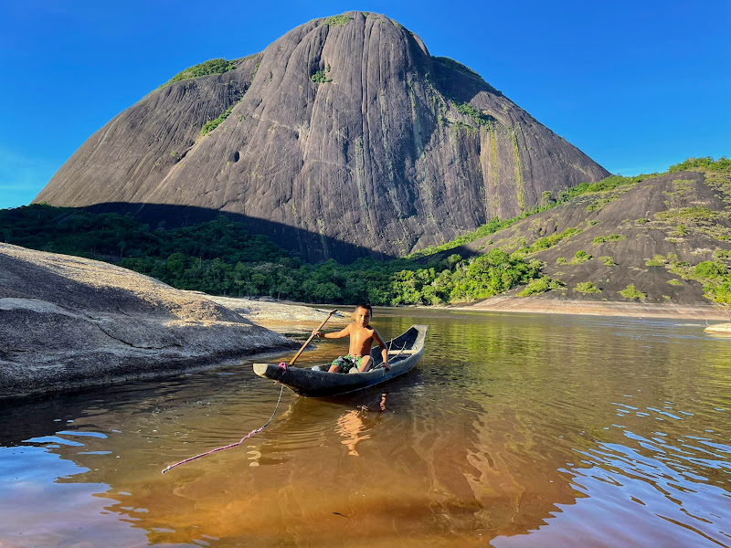 Birding Inirida, Colombia, or river dolphins and hoatzins, part 2 ...