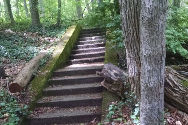 abandoned staircase in the woods at Muttontown Preserve