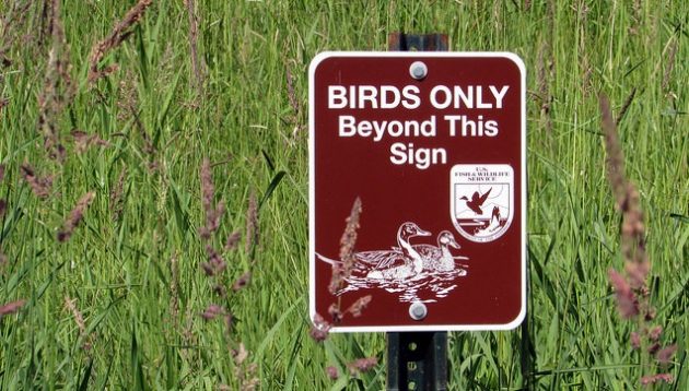 National Wildlife Refuge Sign Birds Only