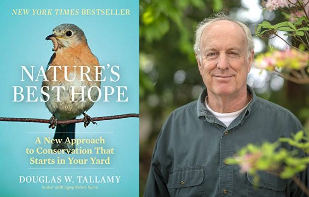 NATURE’S BEST HOPE BY DOUG TALLAMY – A REVIEW - 10,000 Birds