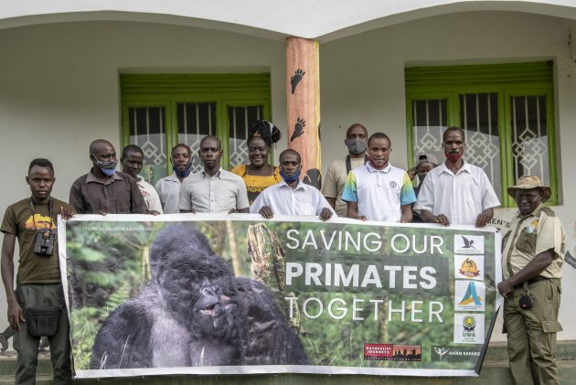 Saving Primates