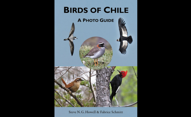 Birds of Chile - A Photo Guide - 10,000 Birds