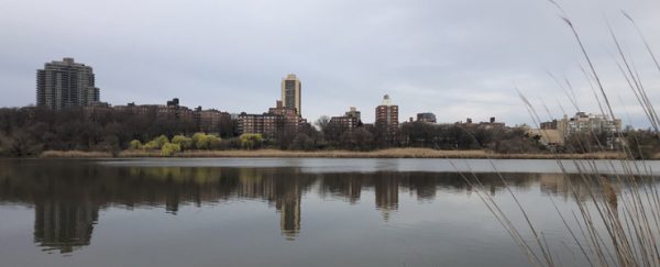 My Birding Spot During COVID-19: Willow Lake Preserve - 10,000 Birds