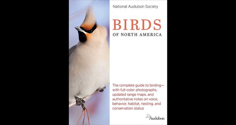 National Audubon Society Birds of North America: A Guide Review ...