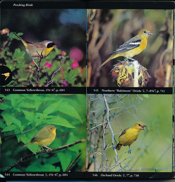 National Audubon Society Birds Of North America: A Guide Review ...