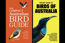 The Compact Australian Bird Guide: A Field Guide Review - 10,000 Birds