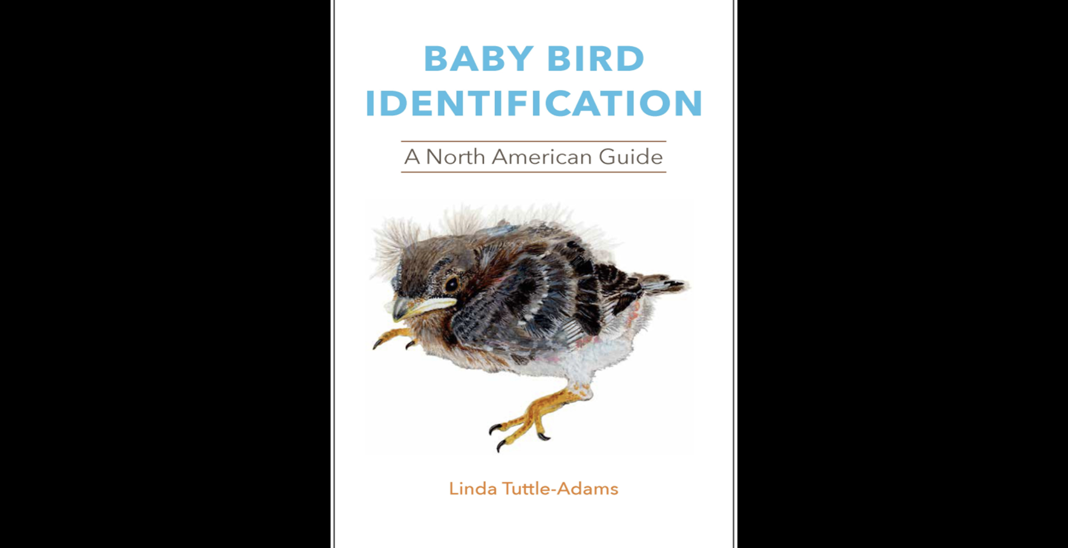 Baby Bird Scale - Altricial versus Precocial 