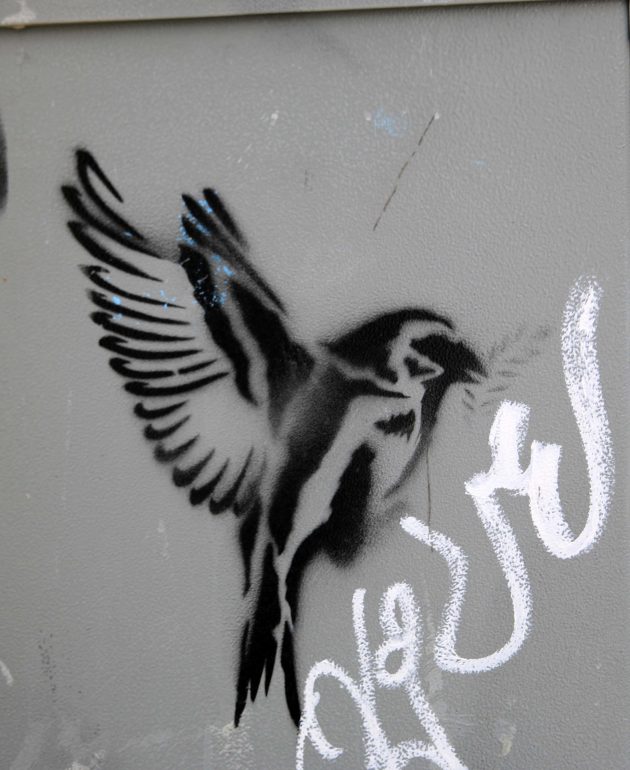 Bird, graffitti, nature, new orleans