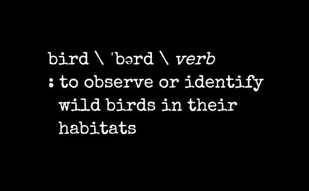 Birding Terms and Dictionary Definitions: Bird