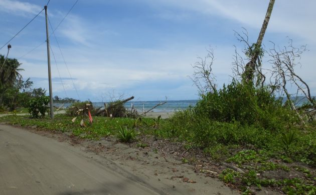 cahuita-beach